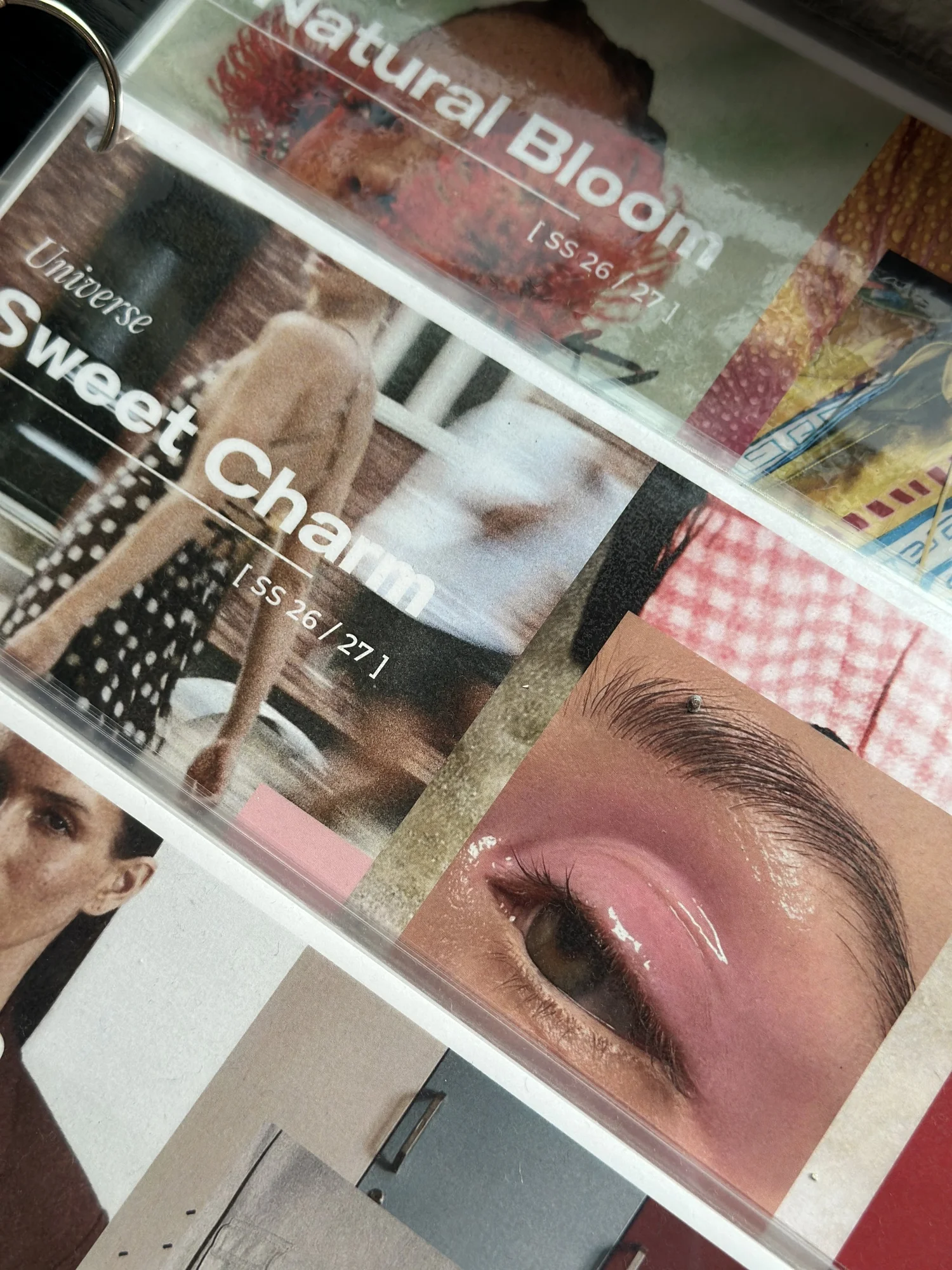 Suda - Imagen 9 de 10